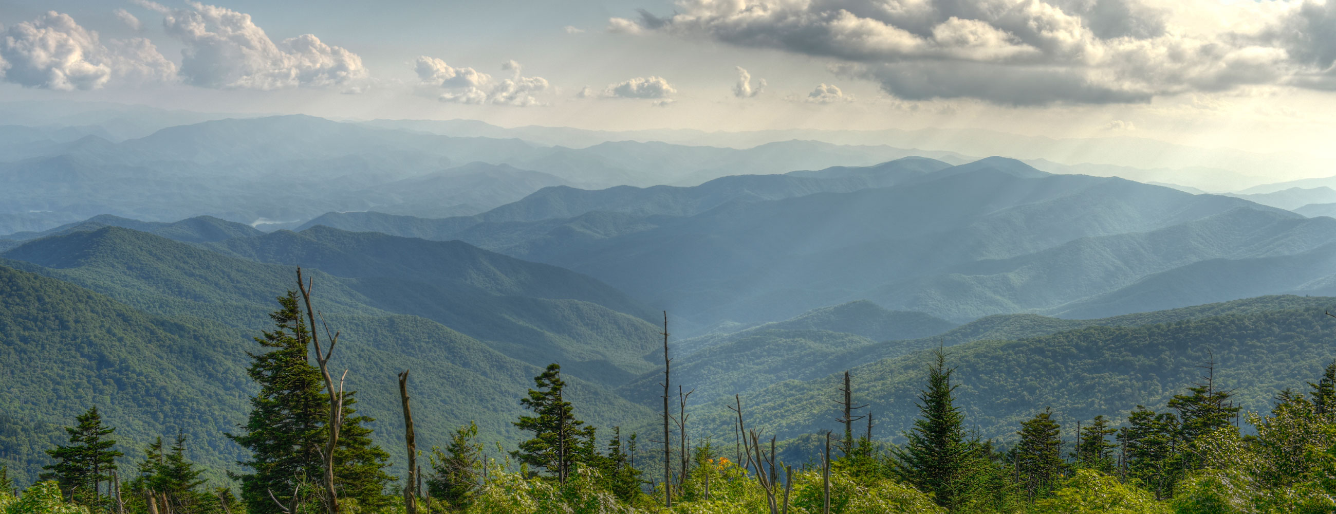 Farmácia Brasil Popular